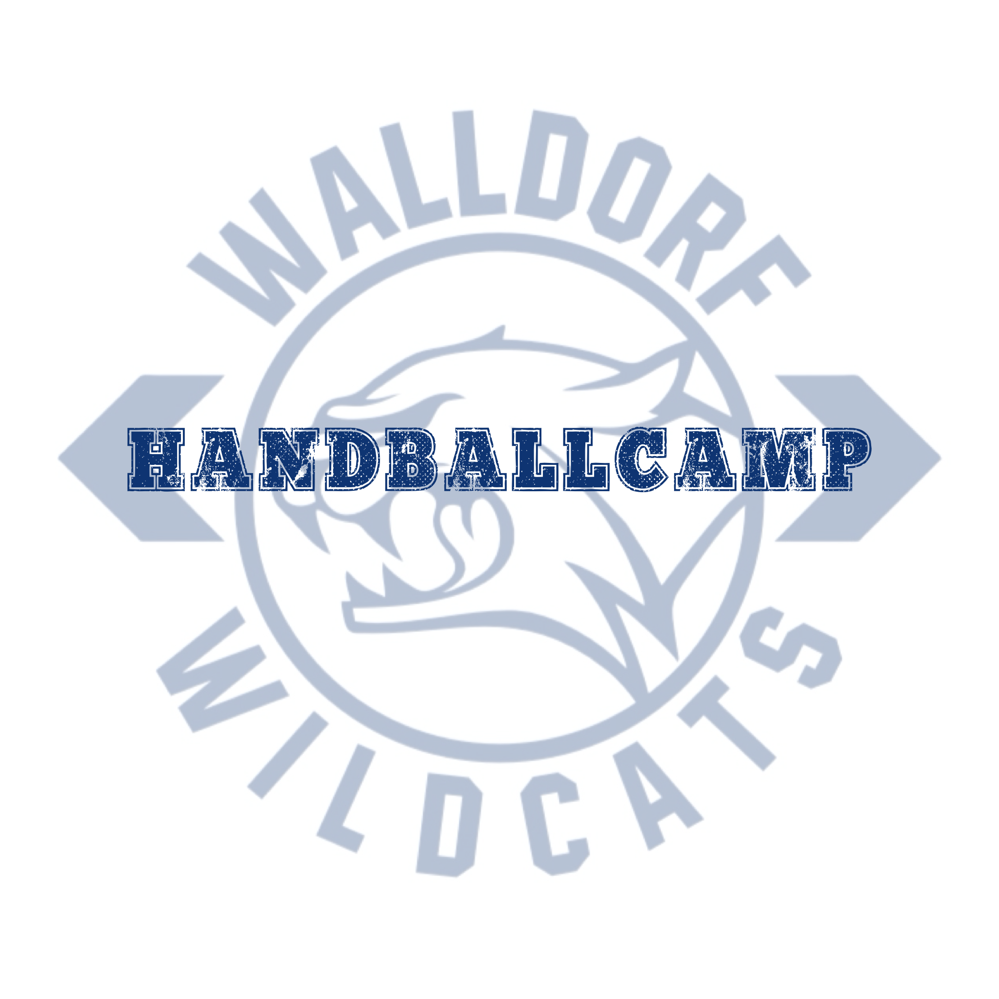 Handballcamp, Jahrgang 2010-2015